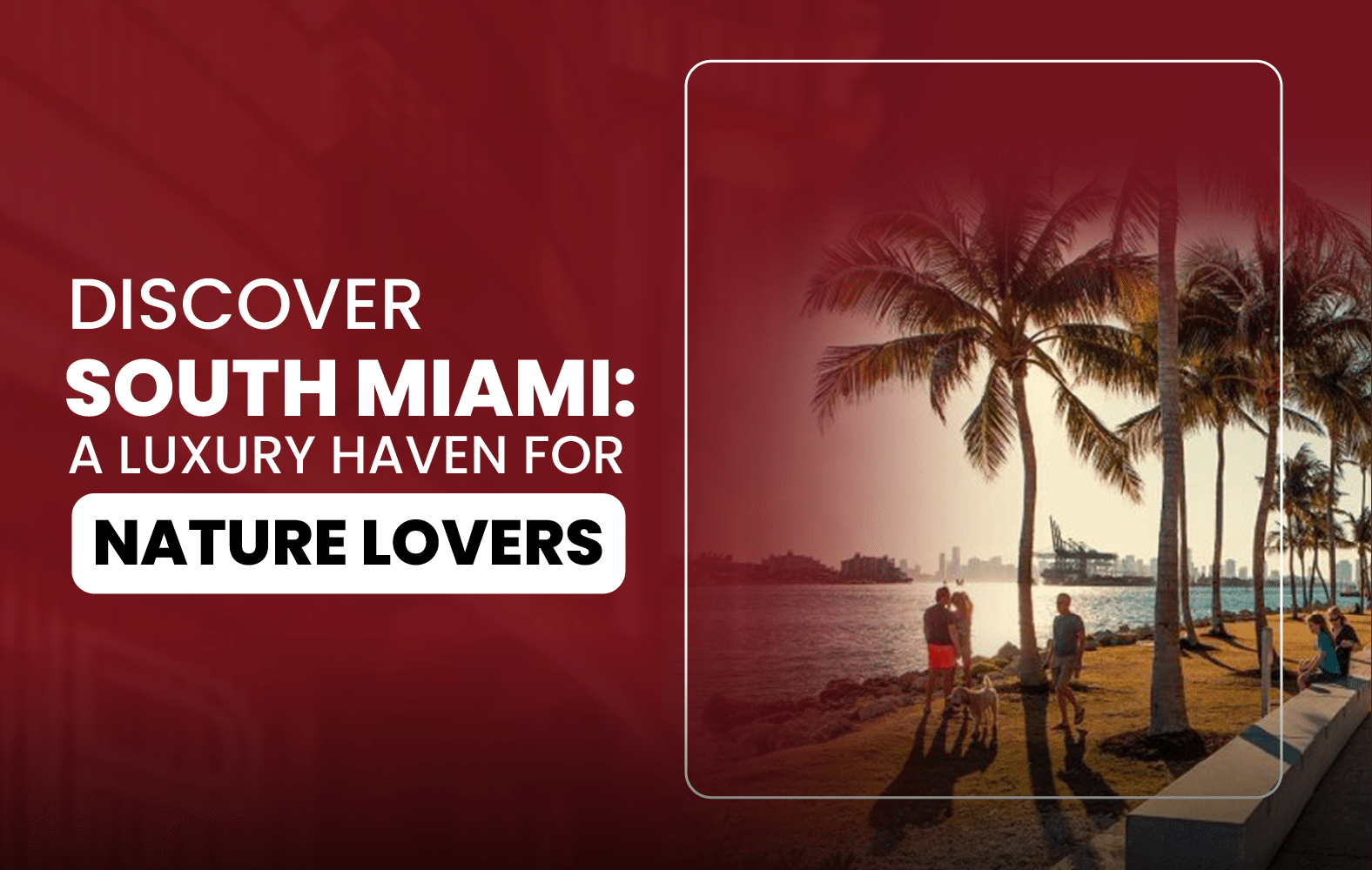 Discover South Miami: A Luxury Haven for Nature Lovers